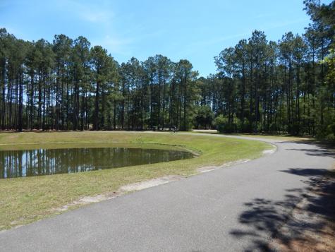 295 Shadybrook Dr. Drive Summerville SC 29486