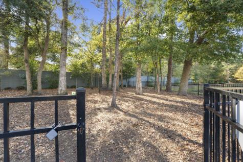 1265 Allusion Lane Mount Pleasant SC 29466