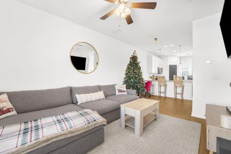 1265 Allusion Lane Mount Pleasant SC 29466