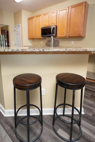 100 Temuco Lane Summerville SC 29483