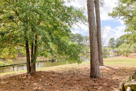 274 Sweet Alyssum Drive Ladson SC 29456