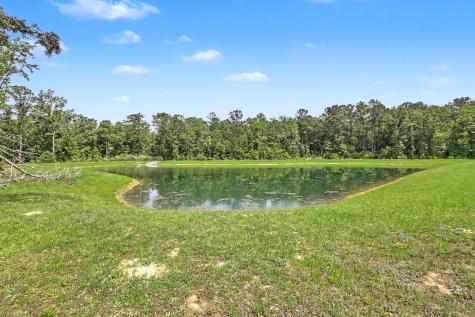 378 Green Fern Drive Summerville SC 29483