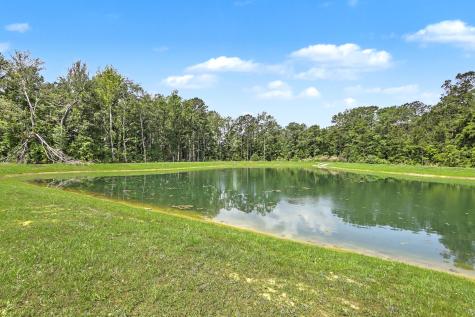 378 Green Fern Drive Summerville SC 29483