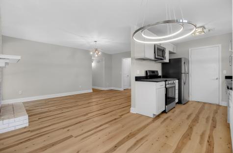 222 Braly Drive Summerville SC 29485