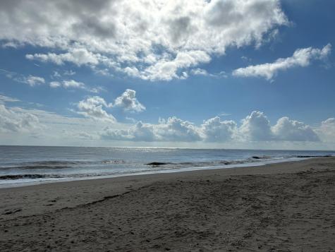 2302 Palmetto Boulevard Edisto Beach SC 29438