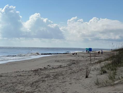 2302 Palmetto Boulevard Edisto Beach SC 29438