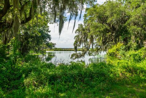 336 Coinbow Drive Mount Pleasant SC 29464
