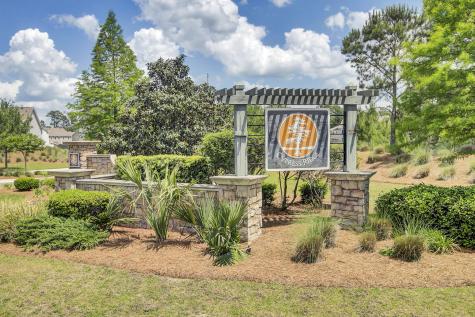 133 Carolina Wren Avenue Moncks Corner SC 29461