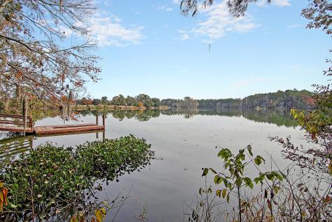 120 Bay Eddy Court Summerville SC 29485