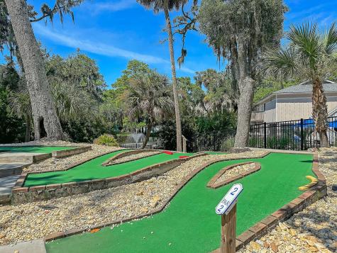 263 Sea Cloud Circle Edisto Island SC 29438
