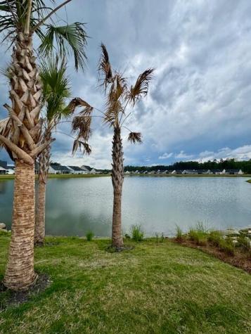 1387 Locals Street Summerville SC 29485