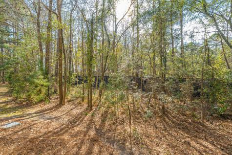 228 Fair Sailing Road Mount Pleasant SC 29466