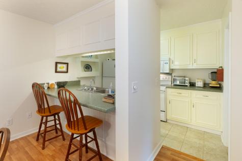 1717 Greystone Mount Pleasant SC 29464