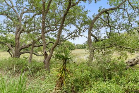 2001 Long Bend Seabrook Island SC 29455