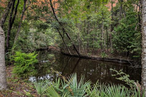 1195 Michelle Lane Johns Island SC 29455