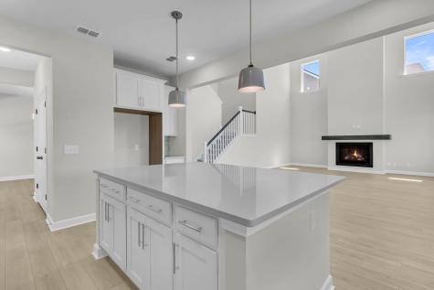 5344 Bending Flats Way Summerville SC 29485