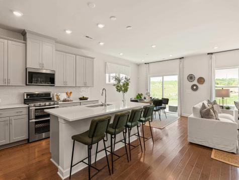 438 Radiant Blue Way Summerville SC 29486