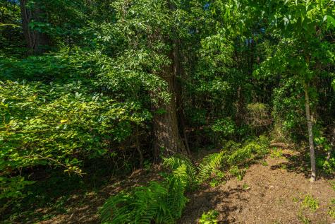 1277 Pearwood Court Mount Pleasant SC 29466