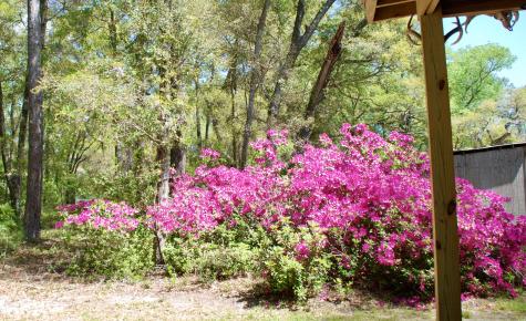 2484 Marina Road Wadmalaw Island SC 29487