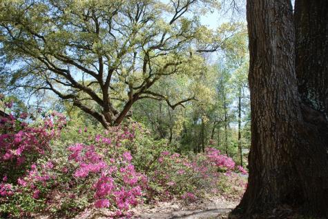 2484 Marina Road Wadmalaw Island SC 29487