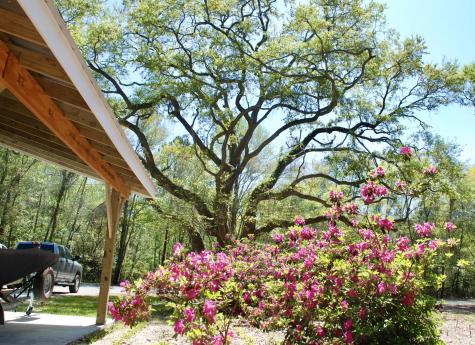 2484 Marina Road Wadmalaw Island SC 29487