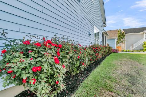 310 Woodgate Way Summerville SC 29485