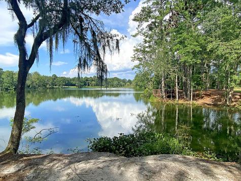 310 Woodgate Way Summerville SC 29485