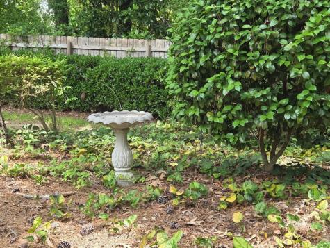 102 Wessex Terrace Summerville SC 29485