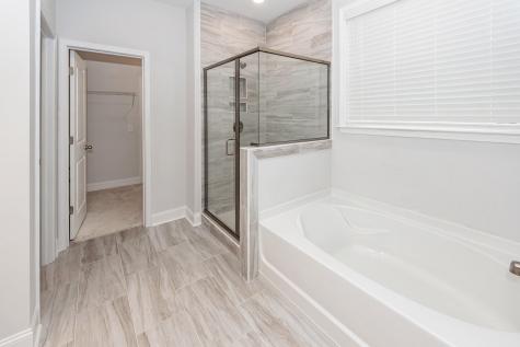 459 Green Fern Drive Summerville SC 29483