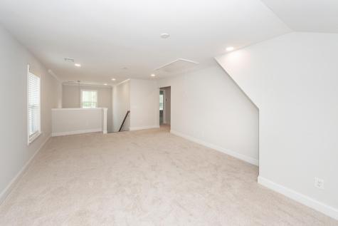 459 Green Fern Drive Summerville SC 29483