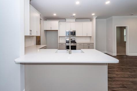 459 Green Fern Drive Summerville SC 29483
