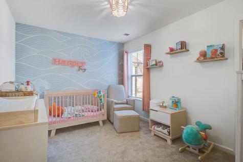 209 Night Heron Street Summerville SC 29486