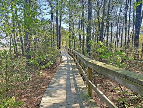124 Slipper Shell Court Mount Pleasant SC 29464