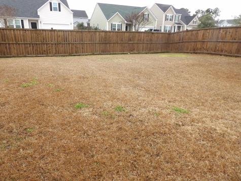 1401 Dahoo Lane Ladson SC 29456