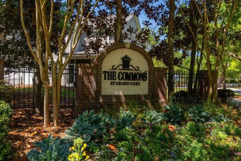 244 Larissa Drive Charleston SC 29414