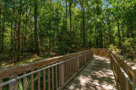 244 Larissa Drive Charleston SC 29414