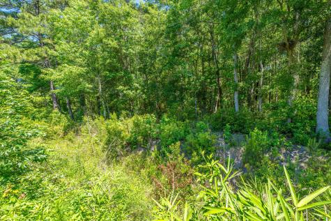 7774 High Maple Circle North Charleston SC 29418