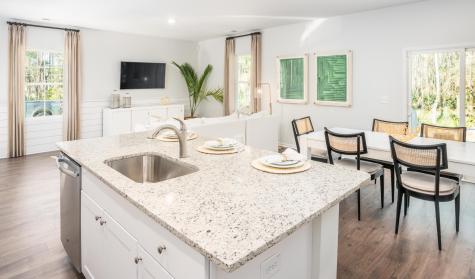 603 Winter Wren Way Moncks Corner SC 29461