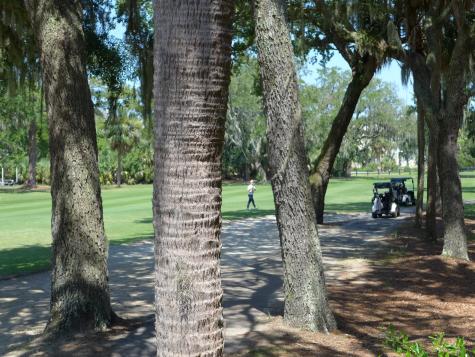258 Driftwood Lane Edisto Island SC 29438