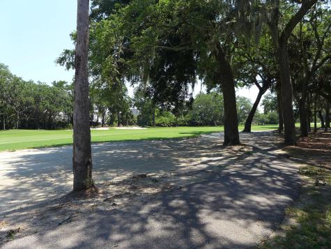 258 Driftwood Lane Edisto Island SC 29438