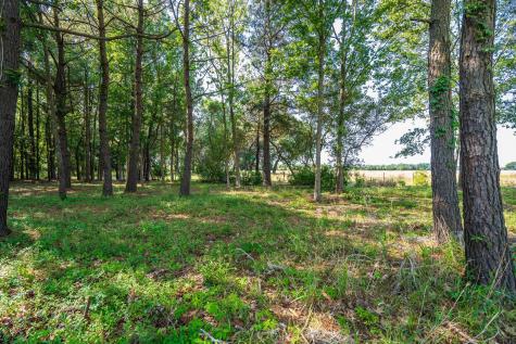 2986 Anchor Watch Drive Wadmalaw Island SC 29487