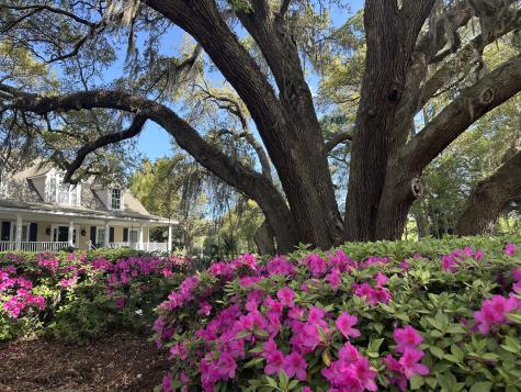 4339 Hope Plantation Drive Johns Island SC 29455