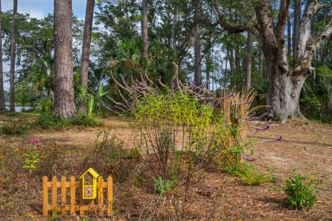 8606 Glascow Island Lane Edisto Island SC 29438