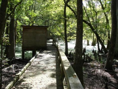 8606 Glascow Island Lane Edisto Island SC 29438
