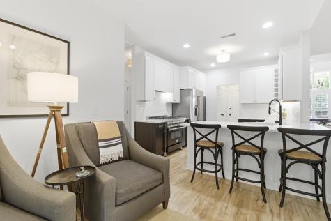 1148 Black Rush Circle Mount Pleasant SC 29466