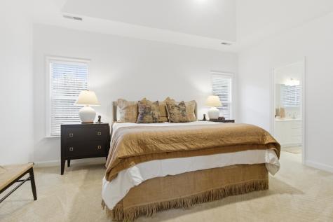 1148 Black Rush Circle Mount Pleasant SC 29466