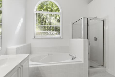 1148 Black Rush Circle Mount Pleasant SC 29466
