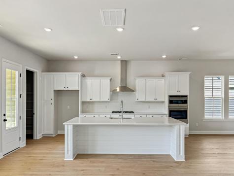 207 Threaded Fern Street Summerville SC 29485