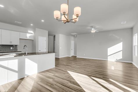 1026 Carolina Way Manning SC 29102