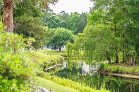 224 Sugar Magnolia Way Charleston SC 29414